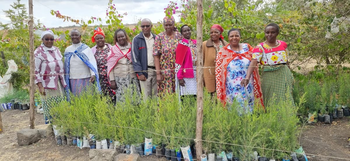 rwn in learning center